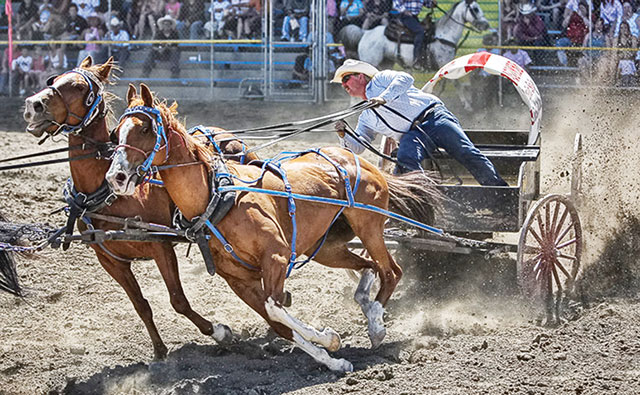 Saddle Up for Stampede Breakfast